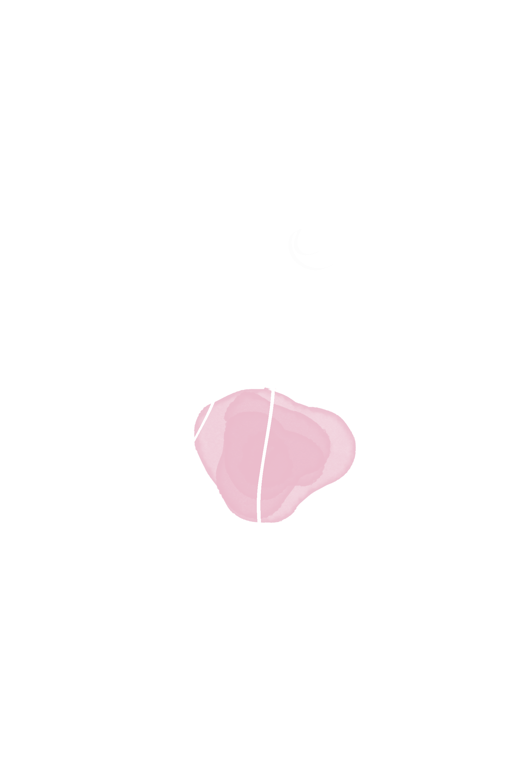 belly-(c)