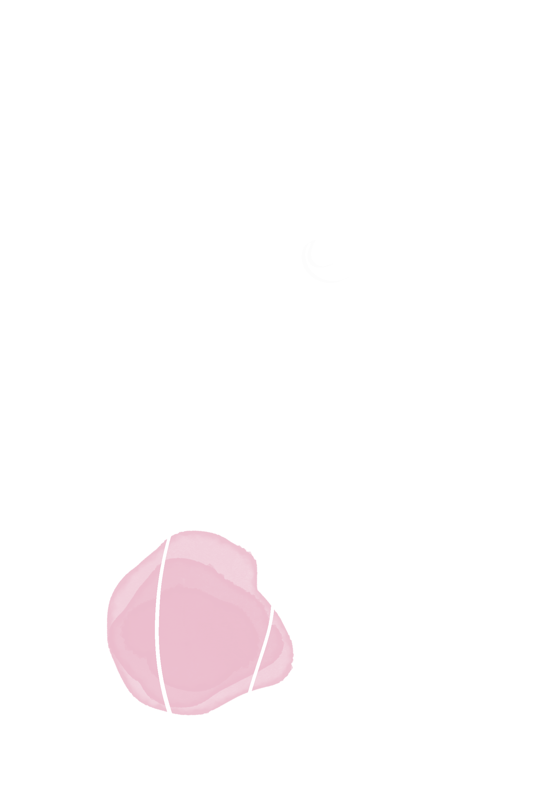 leg-(f)1