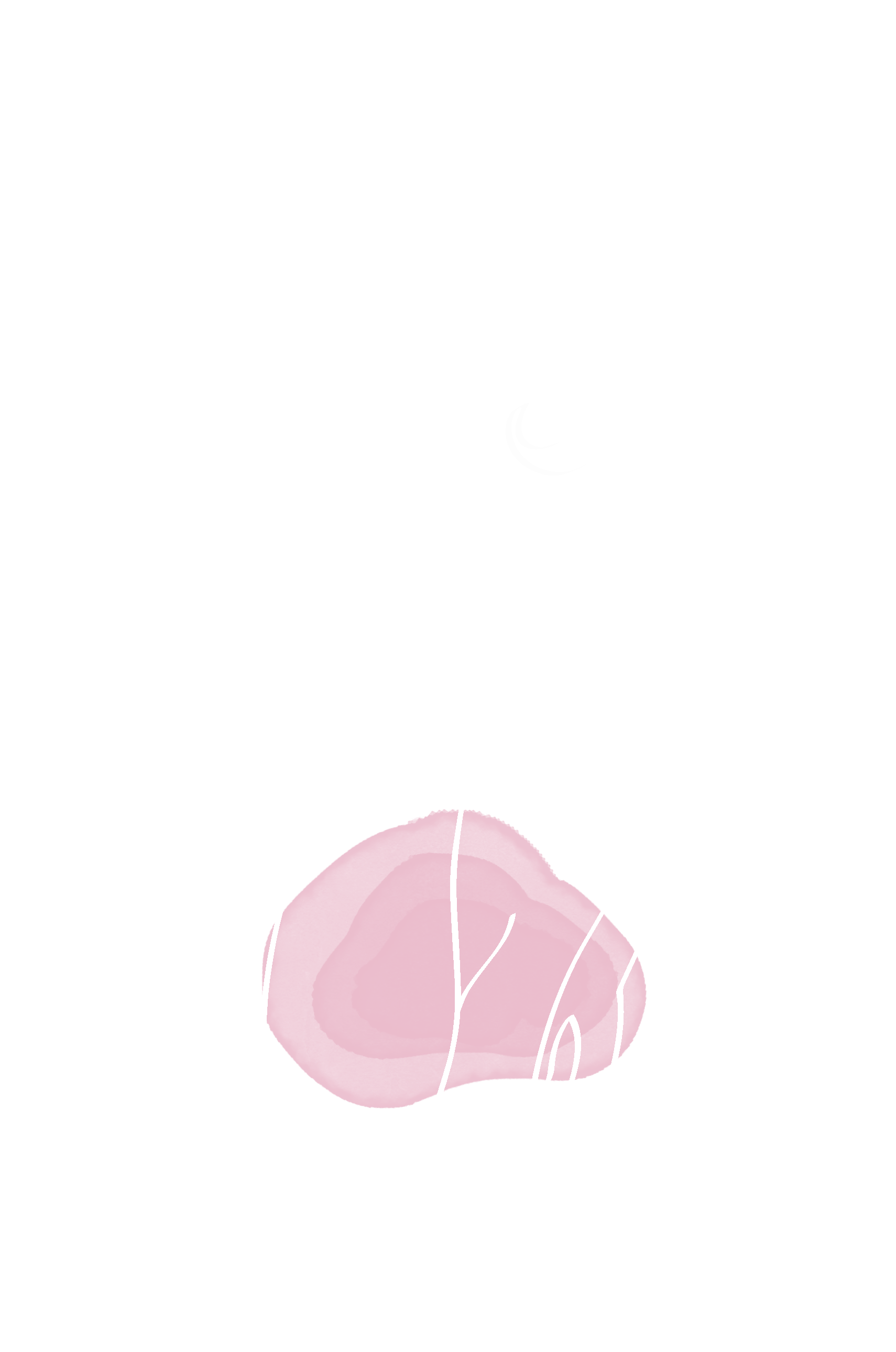 vag-(h1)